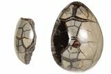 7.6" Septarian "Dragon Egg" Geode - Removable Section - #199993-3